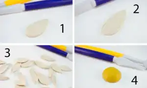 Цветы из пластилина поэтапно. Цветы из пластилина.