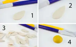 Цветы из пластилина поэтапно. Цветы из пластилина.