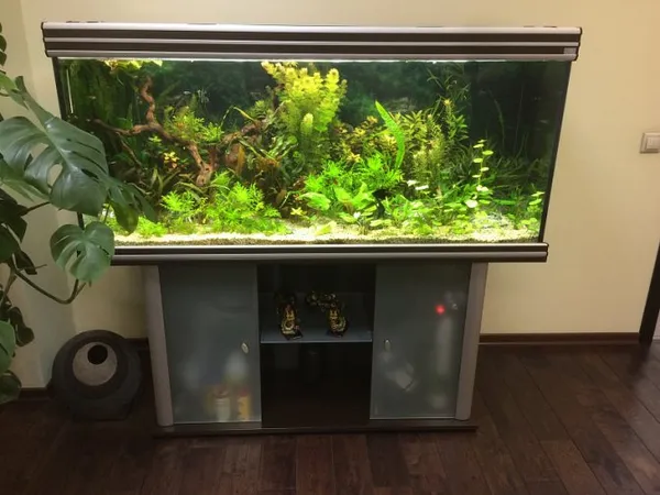 Оформление аквариума своими руками: советы от дизайнеров-аквариумистов. Аквариум 150 литров. 5