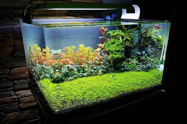 Наноаквариум