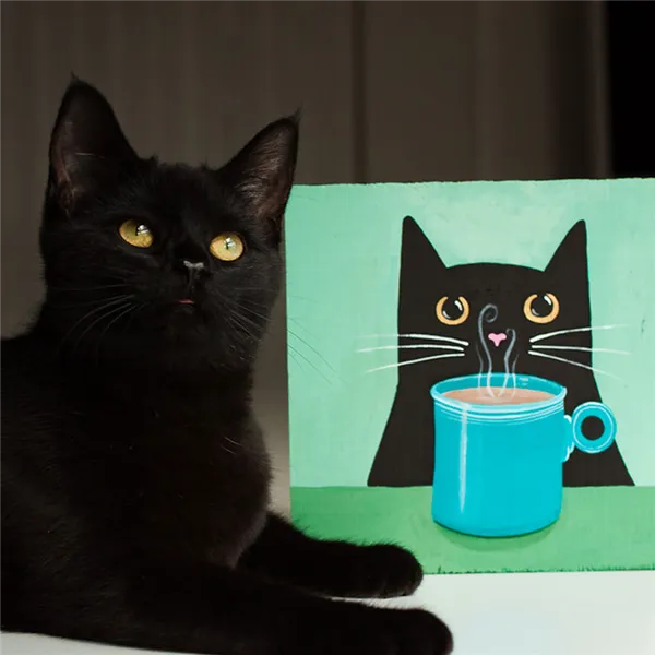 Кот бомбей.jpg