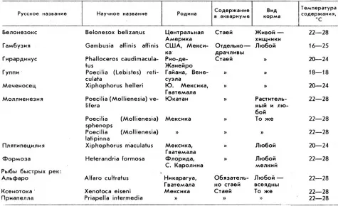 Особенности содержания разных видов аквариумных рыб