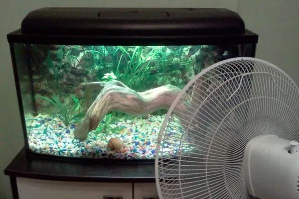 вентилятор и аквариум