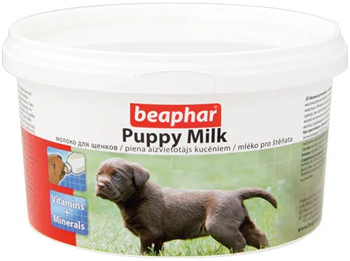 Чем кормить щенка пекинеса в 1 месяц?