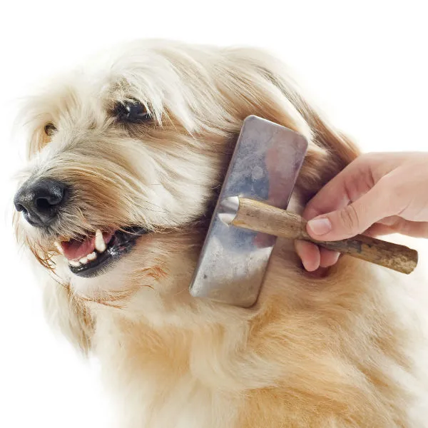 Уход за шерстью животных