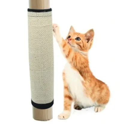 Котёнок и когтеточка