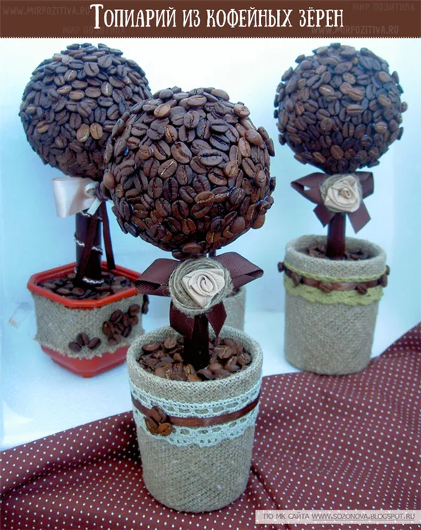 топиарий из кофейных зерен мастер-класс