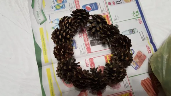 Как собрать сову из шишек. Большая сова из шишек пошагово