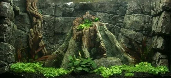 фон для аквариума зачем нужен