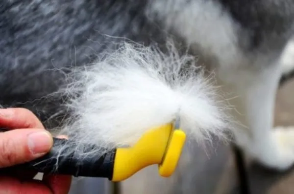 Фурминатор выпускается в нескольких размерах