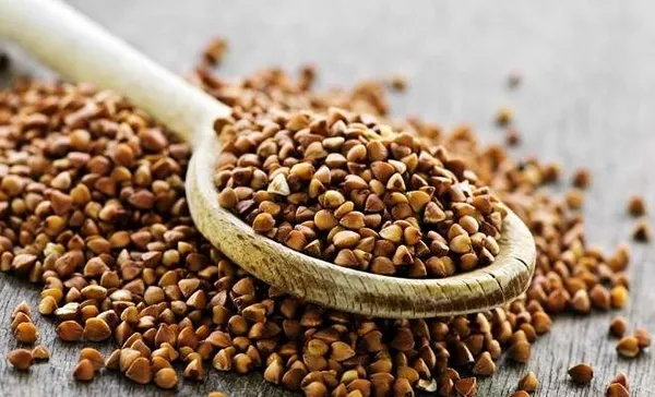 полезные свойства гречки