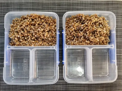 Как хранить гречку в холодильнике?