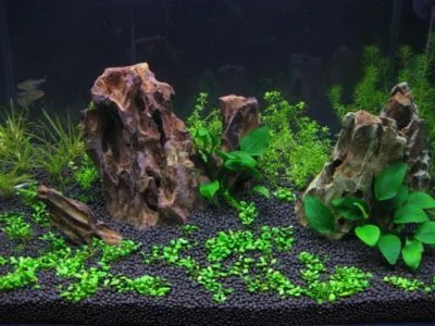 Питательный грунт в аквариуме с живыми растениями