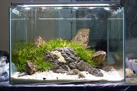 Аквадизайн с белым грунтом