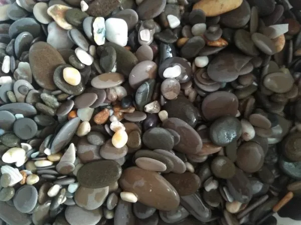 Морская галька