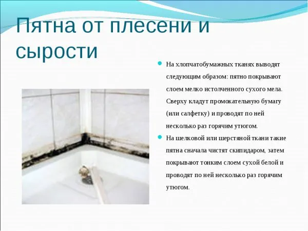 Как вывести плесень с ткани – 10 основных методов избавиться в домашних условиях. Как отстирать плесень с ткани. 2