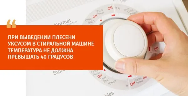 Как вывести плесень с ткани – 10 основных методов избавиться в домашних условиях. Как отстирать плесень с ткани. 3