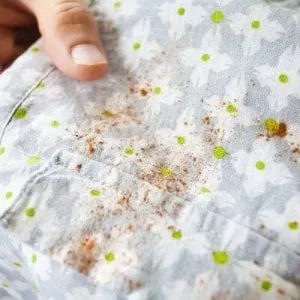 Профилактика появления плесени на одежде