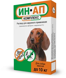 Как и чем кормить щенков в возрасте 1 месяца. Чем кормить щенка. 2