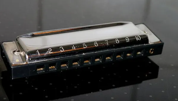 губная гармоника вблизи