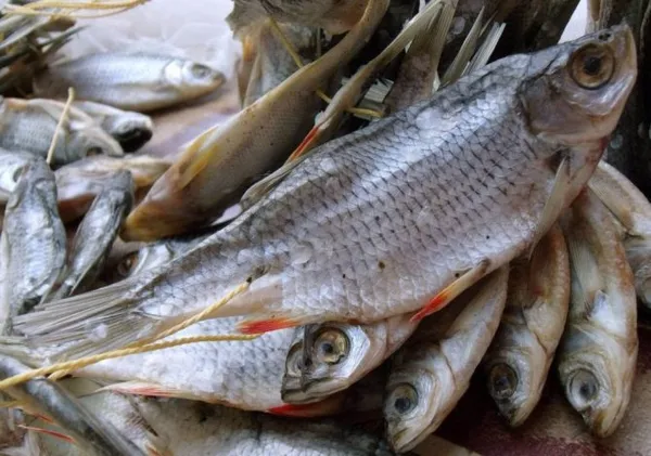 Сроки хранения