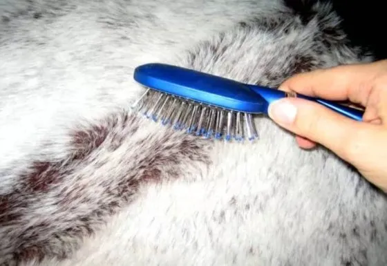 Меховые покрывала: рекомендации перед покупкой