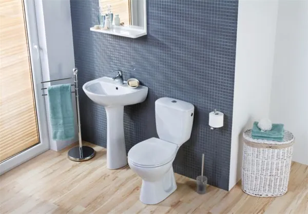 Напольный унитаз из санфаянса