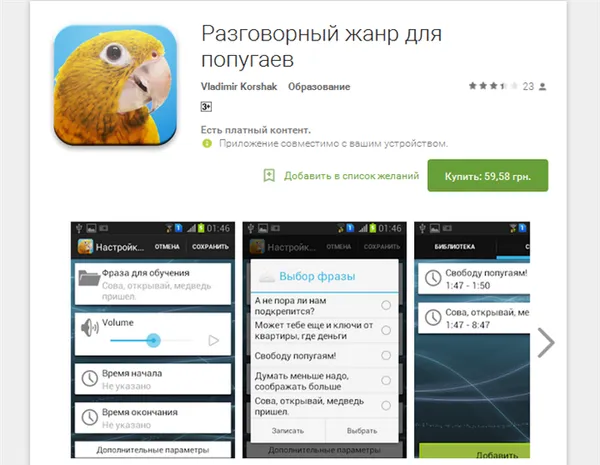 Лучшие породы говорящих попугаев. Какие волнистые попугаи лучше разговаривают. 6