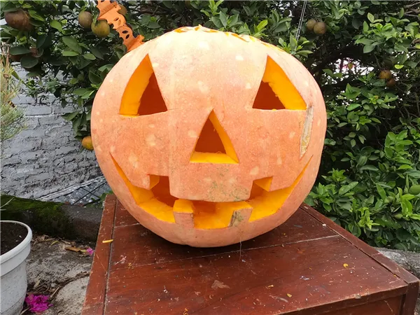 Как вырезать тыкву на Хэллоуин: готовимся к 31 октября