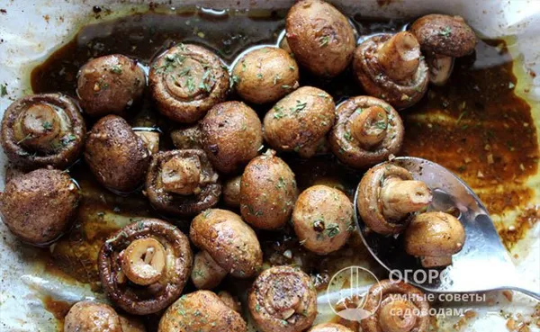 картофель с жаренными шампиньонами в тарелке