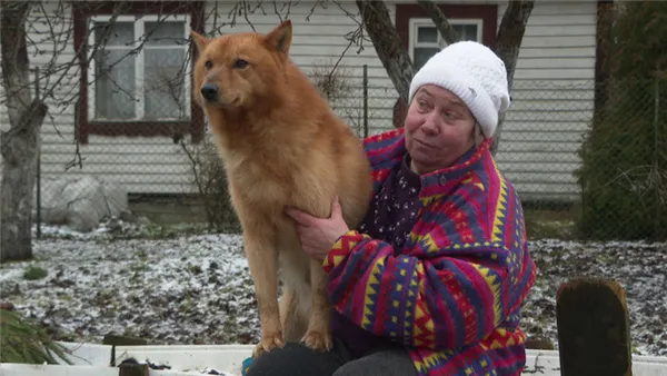 Как финский шпиц превратился в карельскую лайку