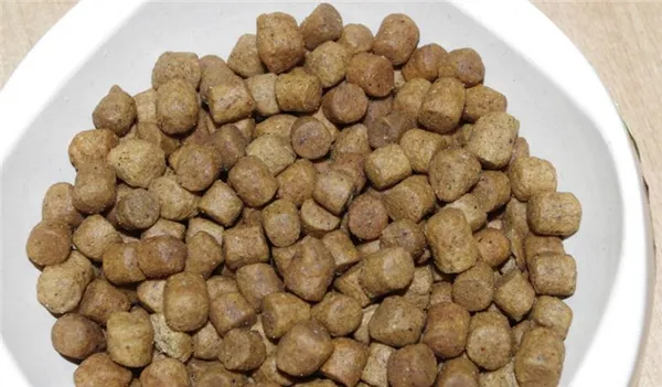 Корм для собак landor: отзывы, разбор состава, цена. Ландор корм для собак. 4