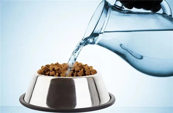 Корм для собак landor: отзывы, разбор состава, цена. Ландор корм для собак. 5