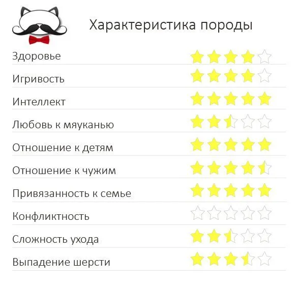 Особенности породы селкирк-рекс