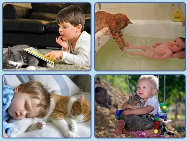 Кошка - друг ребенка