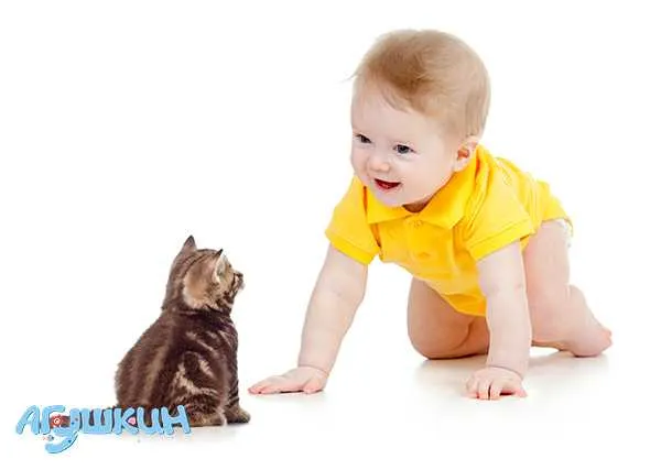 Кошка и маленький ребенок в доме