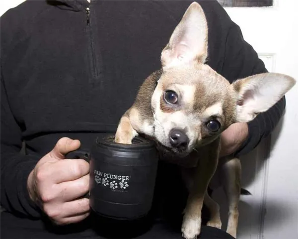 Лапомойки Paw Plunger