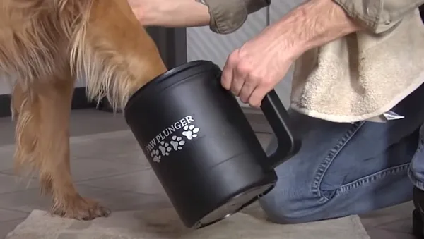 Лапомойки для собак: какие бывают разновидности и как ими пользоваться. Лапомойка для собак. 2