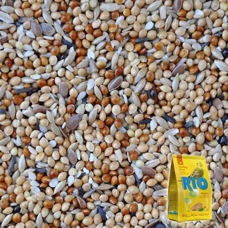 Корм для волнистиков в период линьки