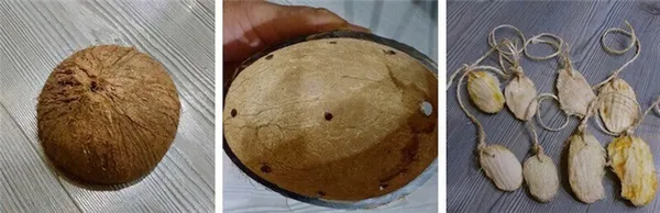 этапы изготовлений игрушки-фуражилки для попугая жако из кокосового ореха и косточек манго