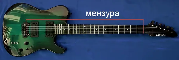 мензура