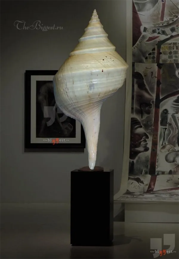 Гигантский австралийский трубач