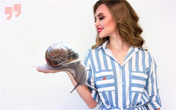 Самые большие улитки в мире. CC0