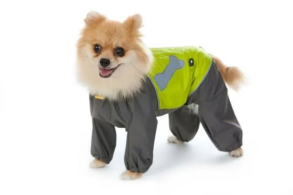 Одежда для шпица мальчика и девочки: костюм, комбинезон. Одежда для шпица. 3