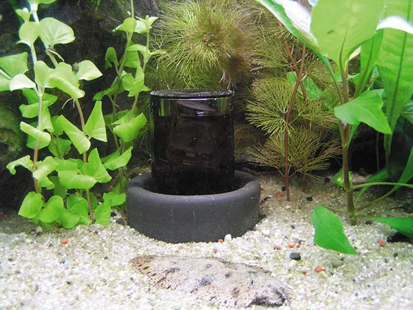 Оксидатор для Аквариума — компактный генератор-дозатор активного кислорода в воду. Оксидатор для аквариума. 4