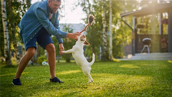 Приучение собаки к людным местам