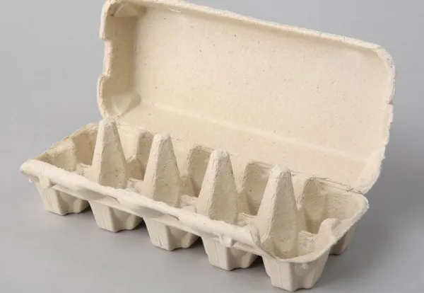 Папье маше из яичных лотков, коробок, кассет: лучшие идеи, что можно сделать из упаковки для яиц. Папье маше из яичных лотков. 17