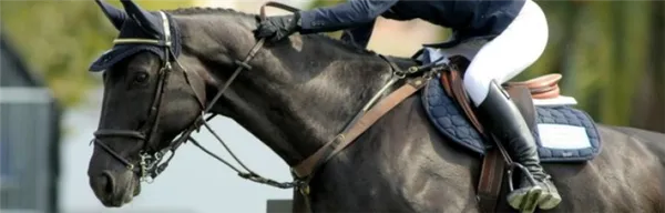 Хождение на лошади шагом