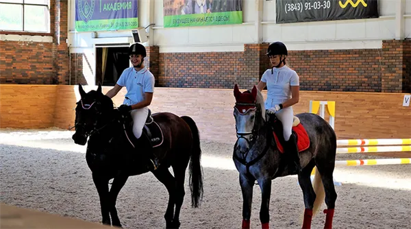 На занятиях конным спортом