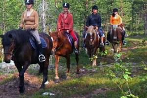 Прогулка в лесу